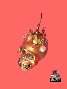 A top view of the skull