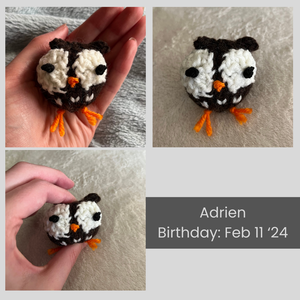 A collage of images of Adrien the owl. In one of the images, I'm squishing him. His birthday is February 11 2024.