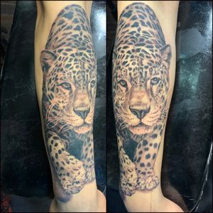 Jaguar