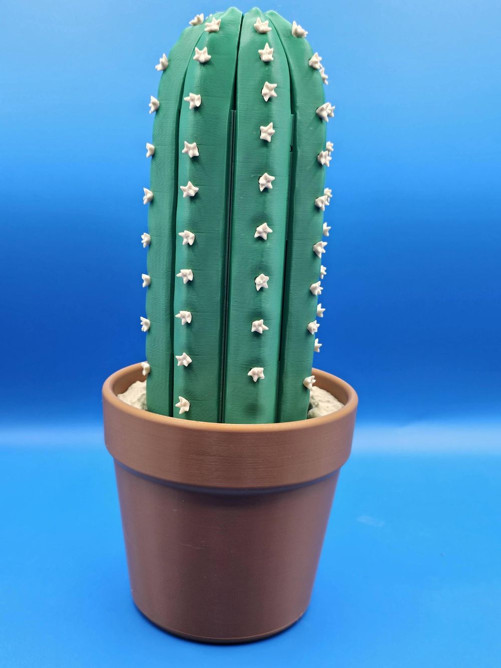 The Cactus Chess Set: A Desert Oasis of Strategy, Disguised!