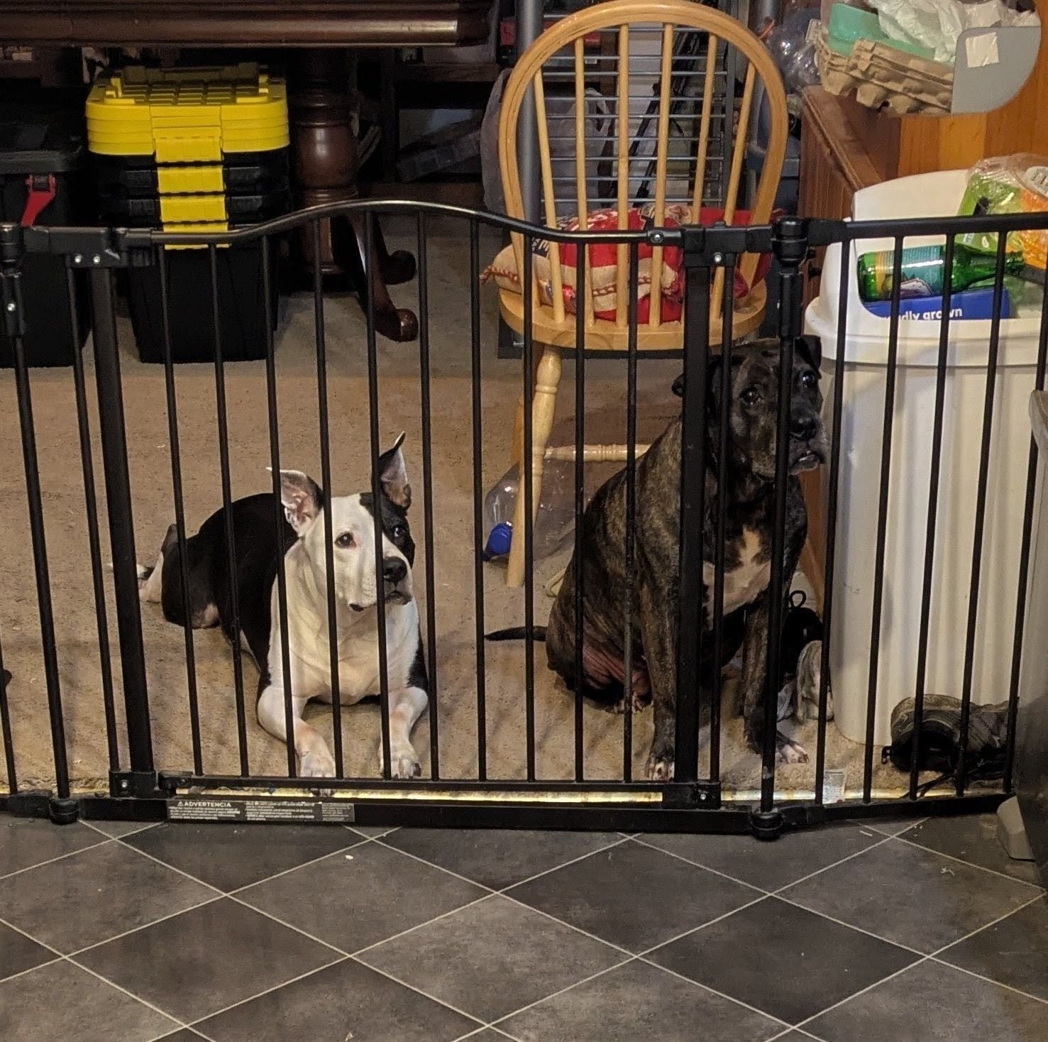 Monday Update - December 8th, 2025