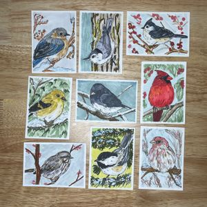 Winter Visitor Series of ACEOs, collect all 9!