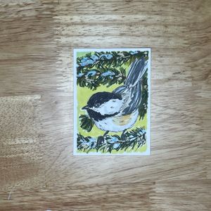 Black Capped Chickadee ACEO shown on flat surface
