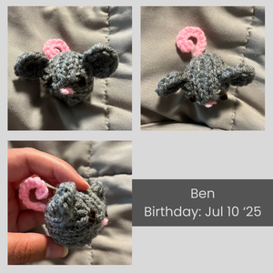 A collage of images of Ben the gray mouse. His birthday is July 10, 2025.