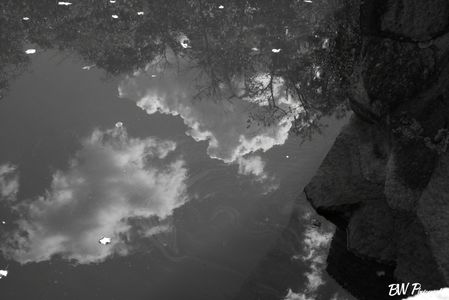 A reflection of clouds in The Devil's Bathtub at Elephant Rocks State Park