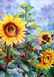 Sunflowers