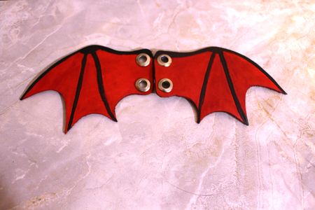Front view Red Bat Wings