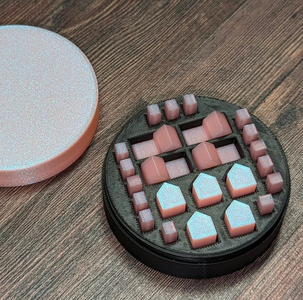 Case with tokens (Pink Shimmer)
