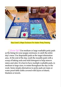Exclusive "💡Foster Tips" are included throughout the book!