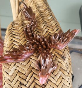 Bronze/Pink