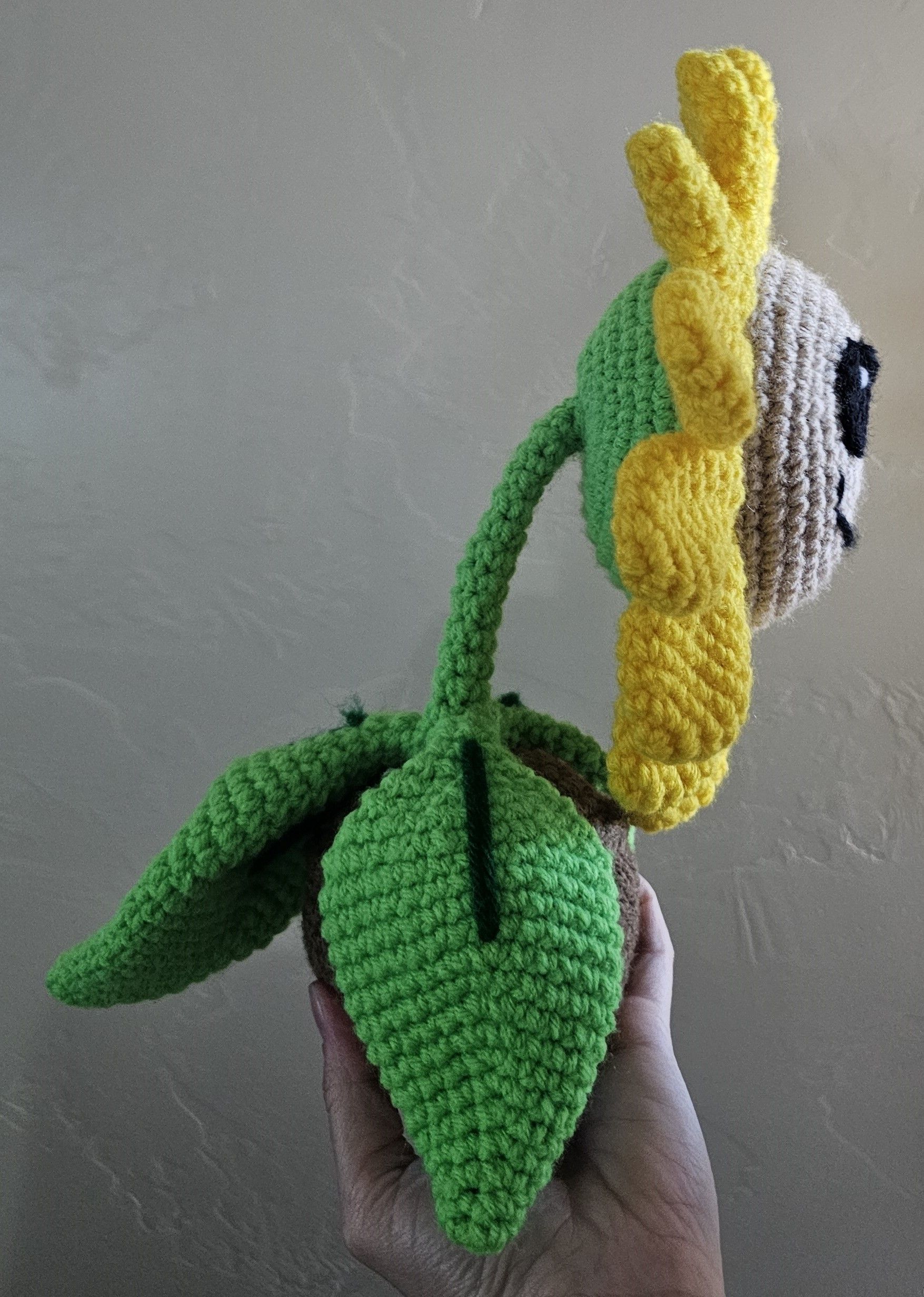 sunflower2.jpg