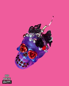 A top view of the skull