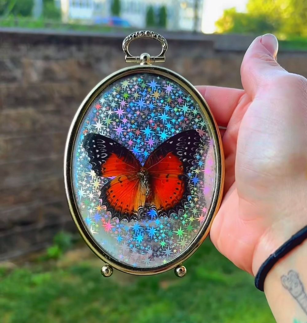 Vintage Bubble Frame Butterfly 🦋 