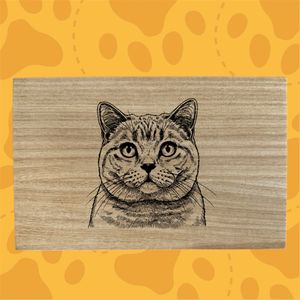 Text done by font style and image done by photoshop etc