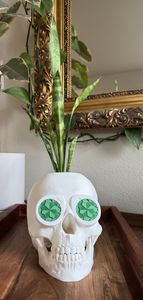 White pot with snake plant