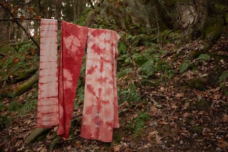The three scarves hanging from a branch in the forest last fall