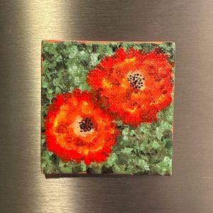 red zinnia