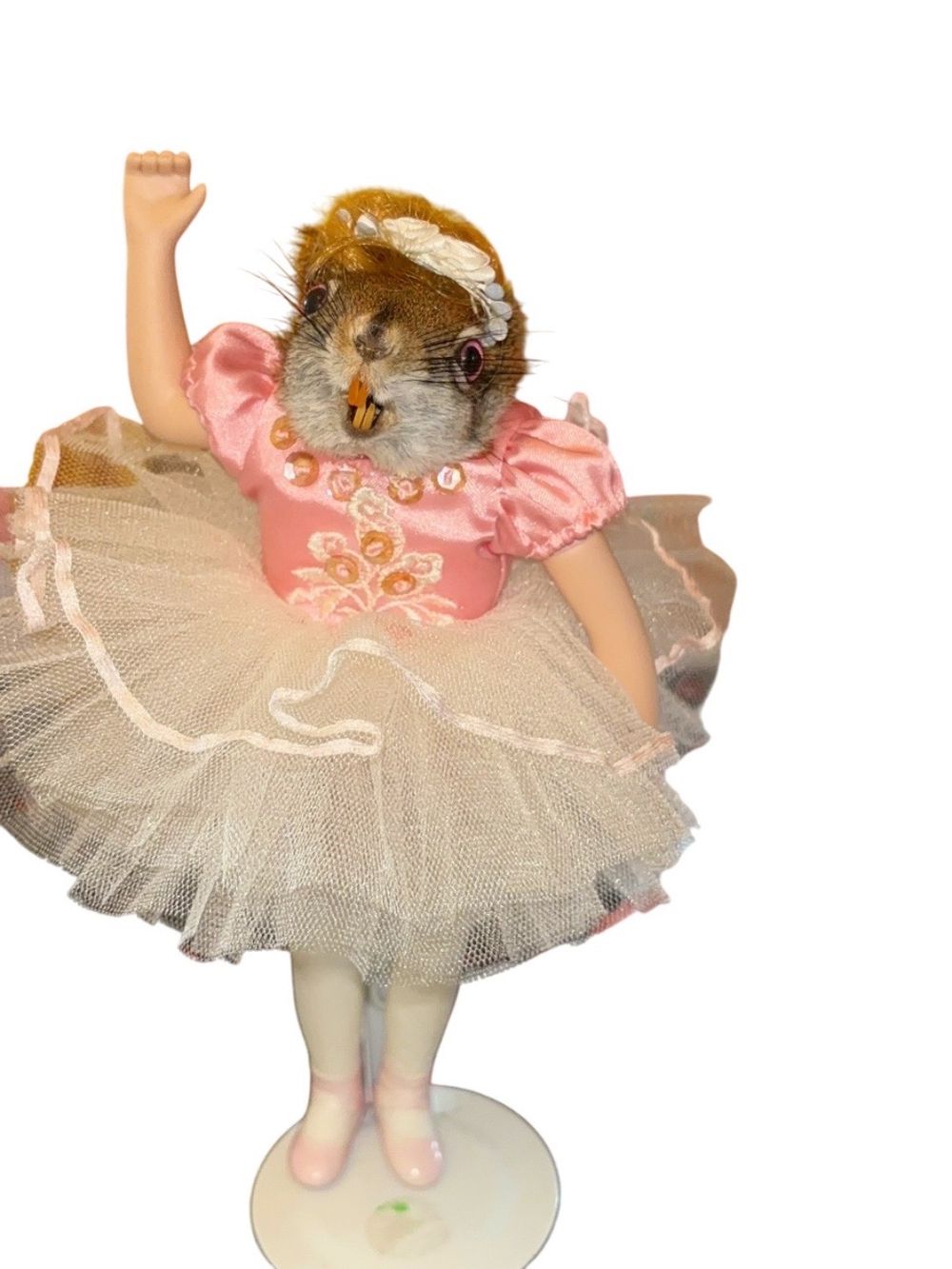 🩰 Ballerina Taxidermy Squirrel w Pink Eyes 👁️ 