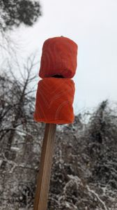 Salmon on a stick