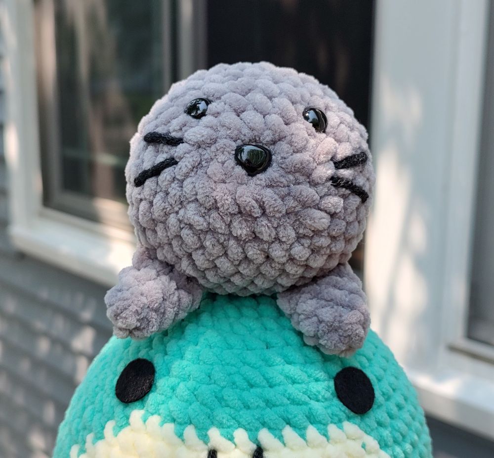 Seal Friend