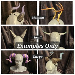 Horn/Antler Examples