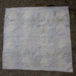 Foggy Circles dyed with Rose leaves and iron 