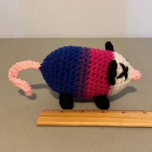 Opossum size
