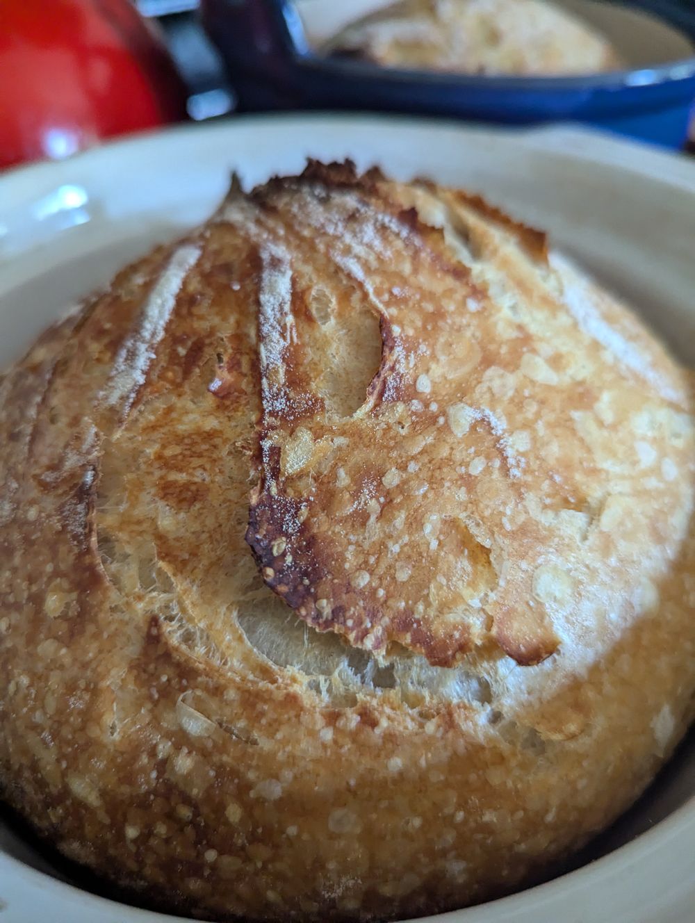 Sourdough bulk order 4 loaves pre order