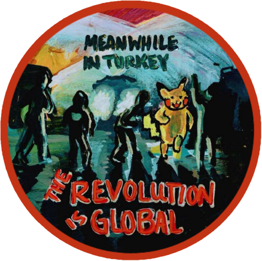 The Revolution is Global ft. Pikachu Joining Revolutionaries in Turkey