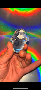 Pigeon Nun