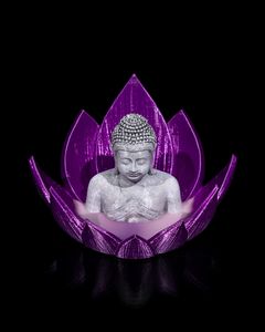 Purple Flower / Gray