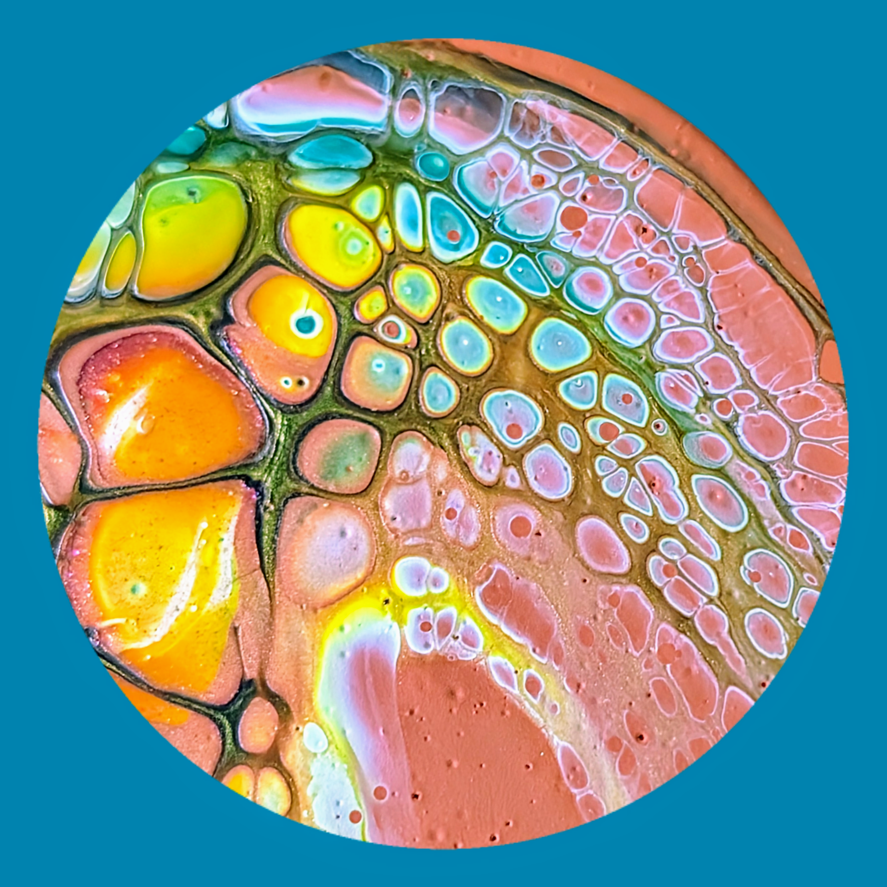 Cell Appreciation Post