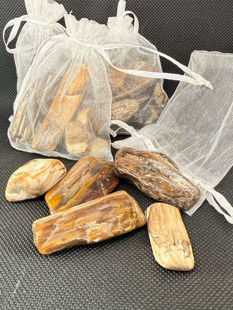 Petrified Wood Mystery Bag