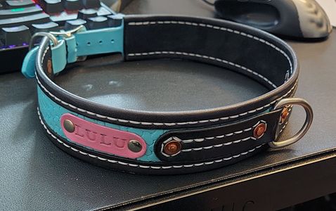 1.5" Collar with paint, pattern stamping, and copper hardware details.$155