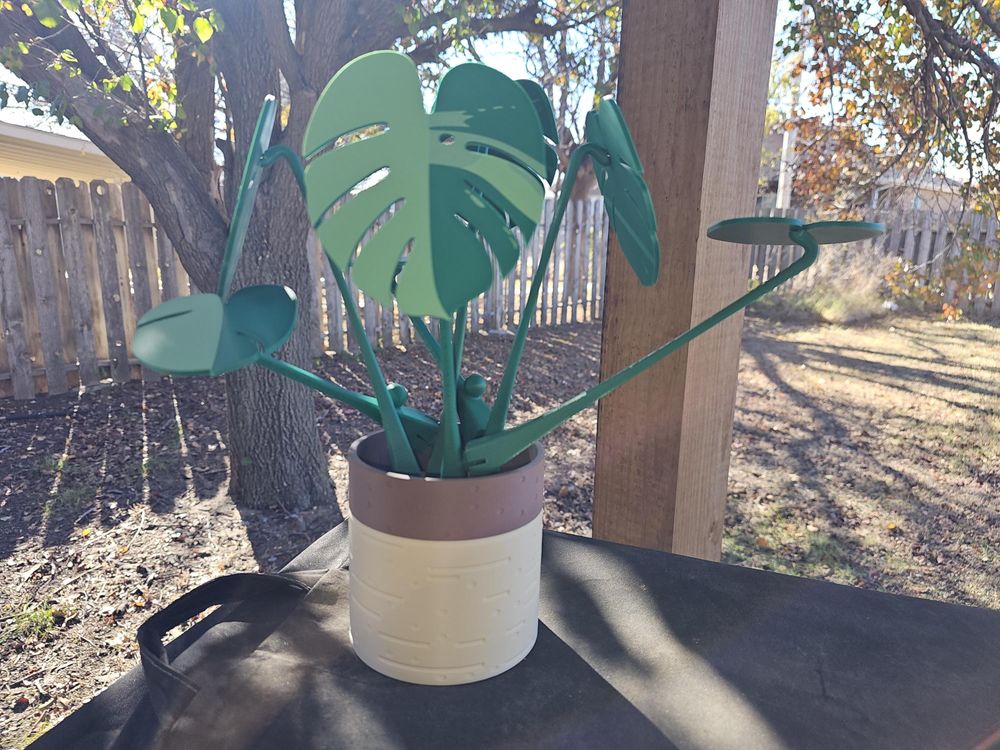 Monstera Plant Coaster Set