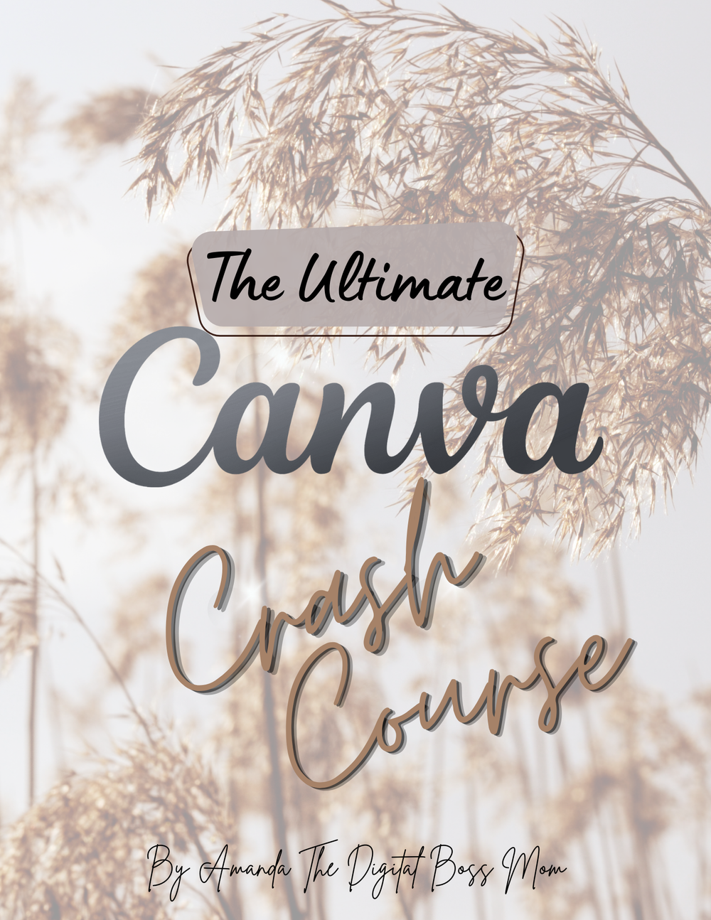 Canva Crash Course 