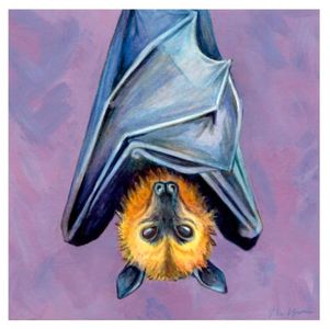 Flying Fox