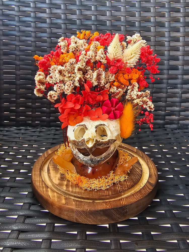 Chelydra Serpentina Snapping Turtle Cloche🐢