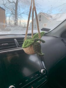 Tan pot with 3 tones of green leaves