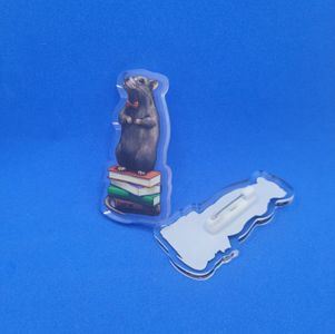 Library Rat Acrylic Pin