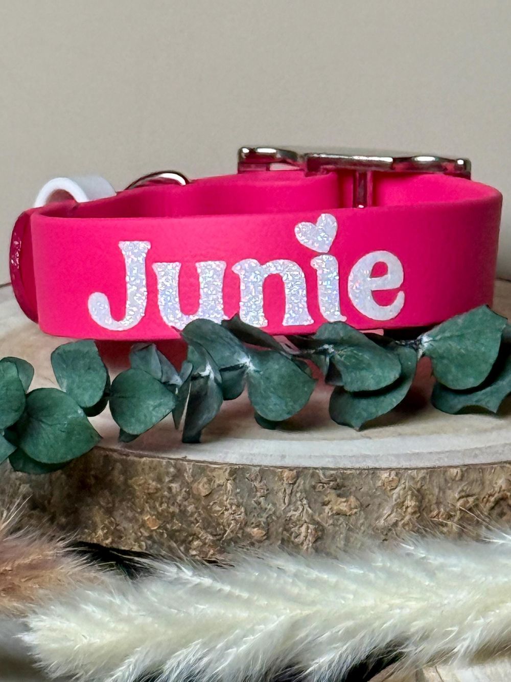 1-Inch Custom Biothane® Dog Collar | Waterproof 