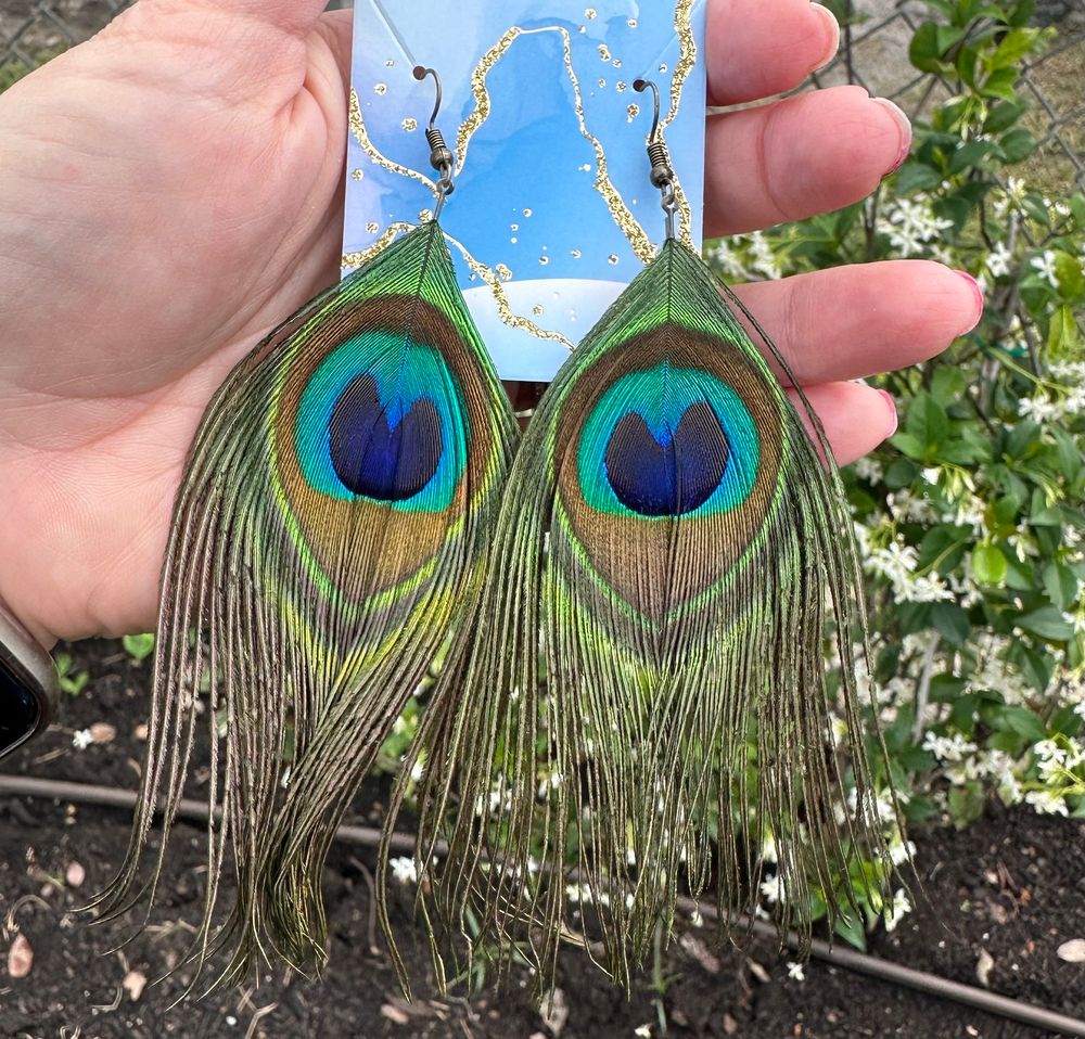 Peacock Feather Earrings