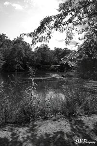 The far shore of The Devil's Bathtub at Elephant Rocks State Park