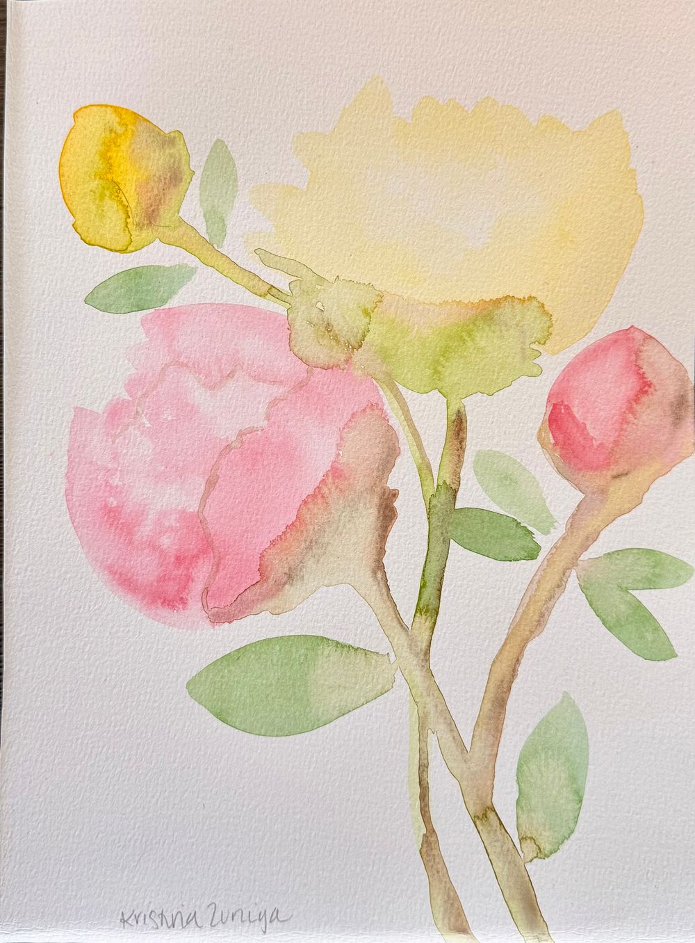 Soft Peonies 