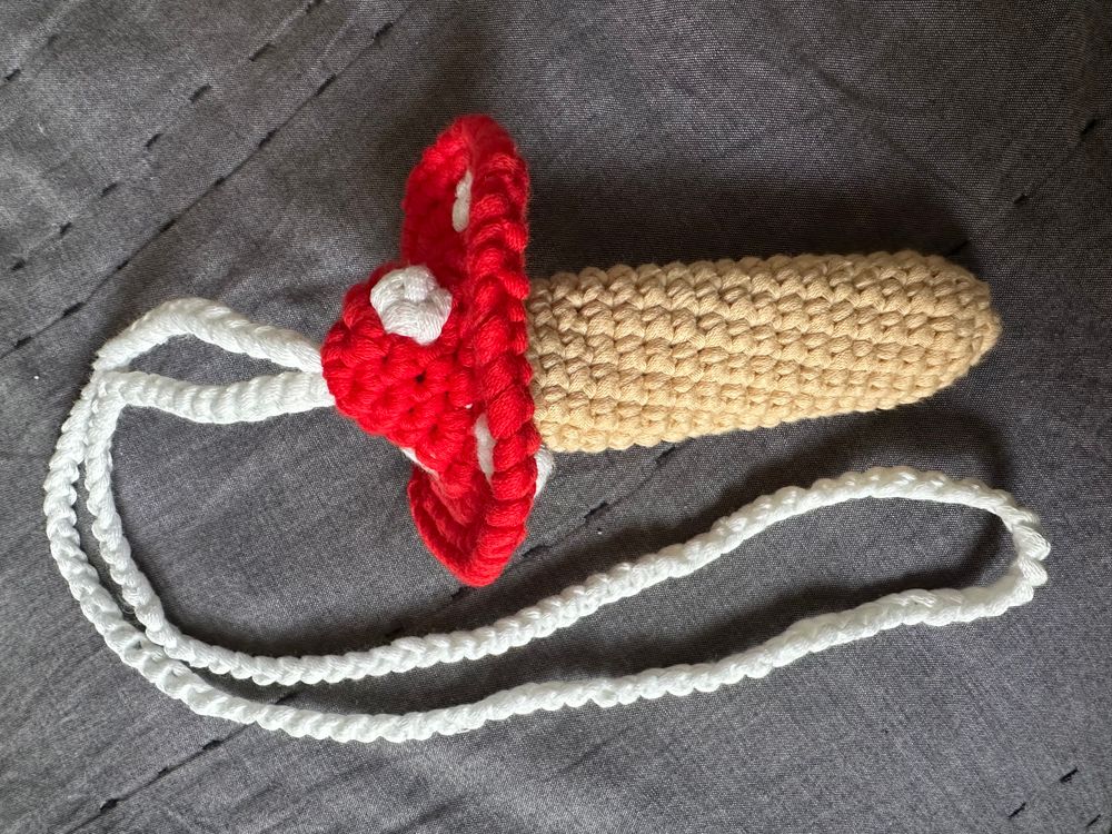 Mushroom penjamin pouch