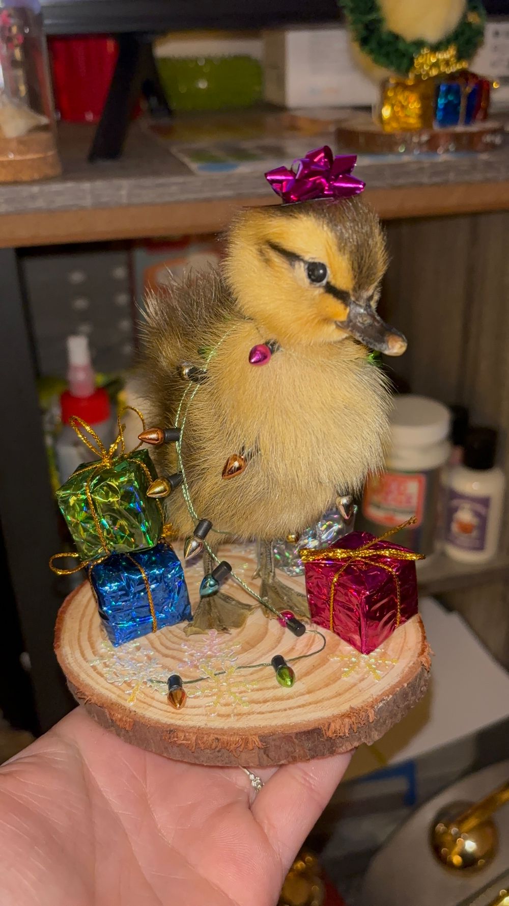 Holiday Duckling Taxidermy Display🎄 