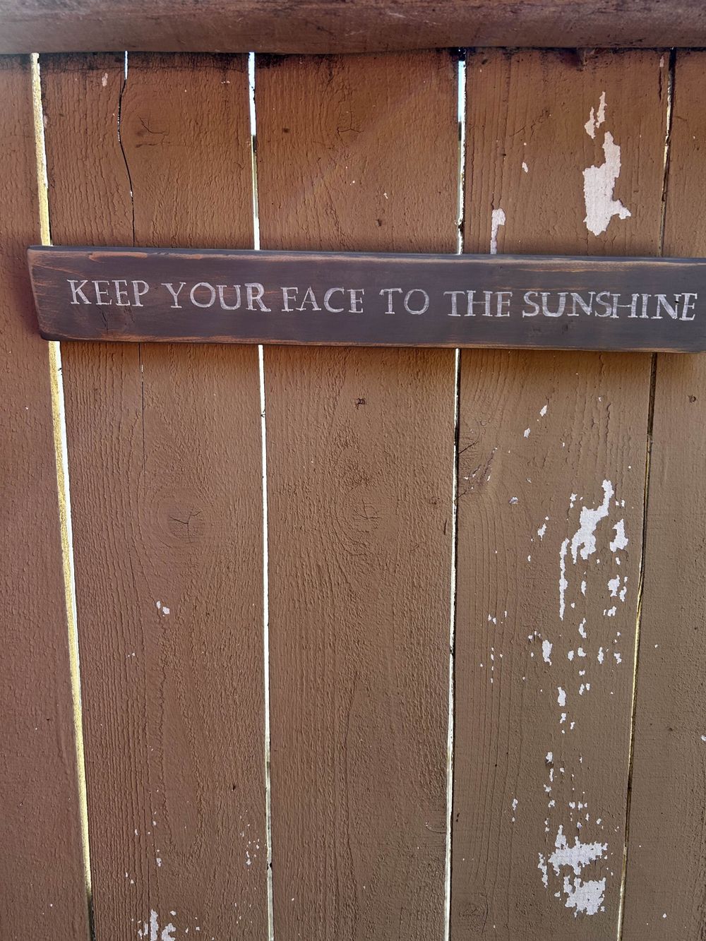 Keep Your Face To The Sunshine 