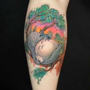 Totoro’s nap