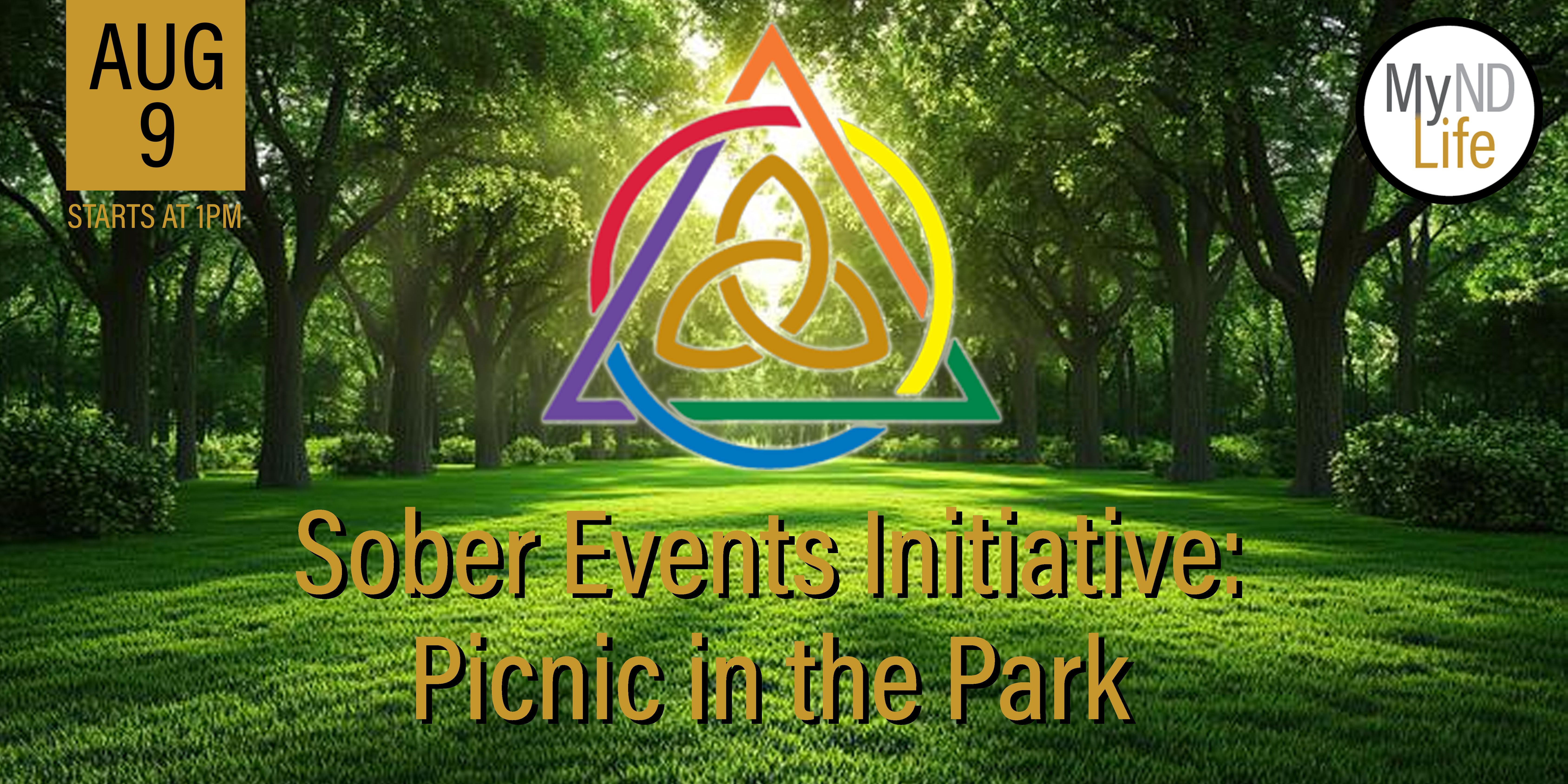 Sober Events Initiative -Picnic in the Park - August 9th, 2025.jpg