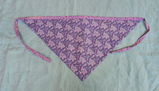 Bandana 2